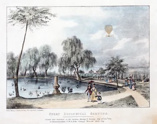 Jardins Zoológicos De Surry. Bar. 1836 (gravura colorida à mão)